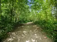 309 6815 188 STREET - thumbnail 31