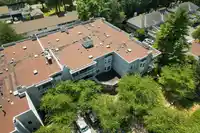 201 9940 151 STREET - thumbnail 32