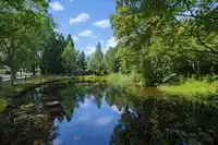 10482 ASHDOWN PLACE - thumbnail 38