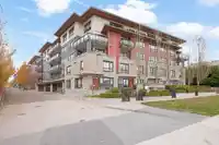207 13925 FRASER HIGHWAY - thumbnail 1