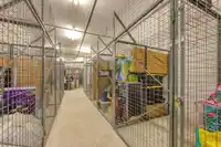 1003 9887 WHALLEY BOULEVARD - thumbnail 24