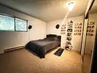 10527 HOLLY PARK LANE - thumbnail 9