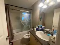 13538 84 AVENUE - thumbnail 30