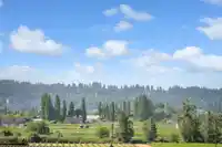 16602 BELL ROAD - thumbnail 3