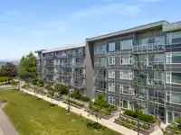 322 10838 WHALLEY BOULEVARD - thumbnail 20