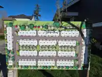 65 19501 74 AVENUE - thumbnail 25
