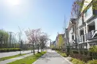50 14285 64 AVENUE - thumbnail 34