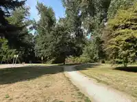 13139 111 AVENUE - thumbnail 15