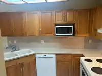 311 13910 101 AVENUE - thumbnail 10