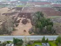 15590 56 AVENUE - thumbnail 6