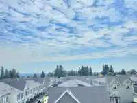 501 15825 85 AVENUE - thumbnail 6
