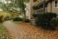 309 8115 121A STREET - thumbnail 3