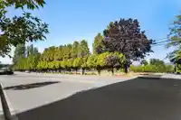 518 10838 WHALLEY BOULEVARD - thumbnail 25