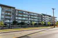 518 10838 WHALLEY BOULEVARD - thumbnail 30