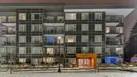 302 10838 WHALLEY BOULEVARD - thumbnail 2