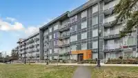 302 10838 WHALLEY BOULEVARD - thumbnail 3