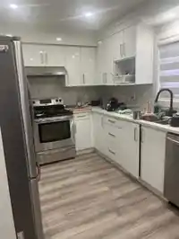 13960 80A AVENUE - thumbnail 3