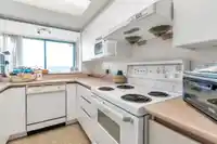 1007 13353 108 AVENUE - thumbnail 17