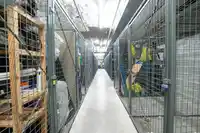 310 13740 75A AVENUE - thumbnail 20