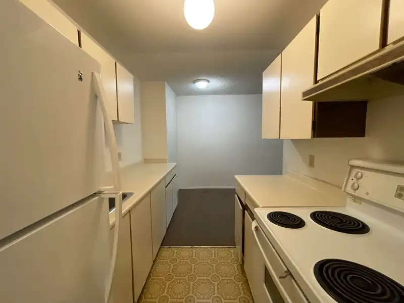 208 10061 150TH STREET - photo 3 of 14