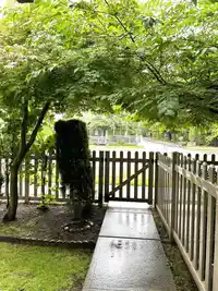 53 8775 161 STREET - thumbnail 4