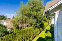 206 9109 154 STREET - thumbnail 34
