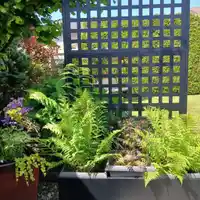 5653 187 STREET - thumbnail 29