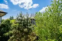 509 8717 160 STREET - thumbnail 28