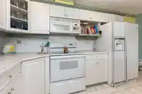 241 13888 70TH AVENUE - thumbnail 8