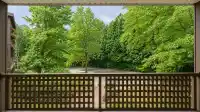 313 10644 151A STREET - thumbnail 19