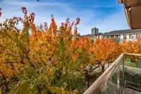 209 14993 101A AVENUE - thumbnail 29