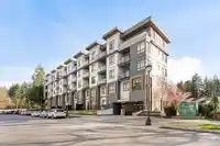 430 13968 LAUREL DRIVE - thumbnail 19