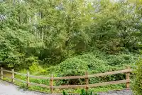 9 15155 62A AVENUE - thumbnail 36