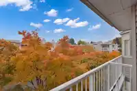 308 9948 151 STREET - thumbnail 27