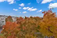 308 9948 151 STREET - thumbnail 28