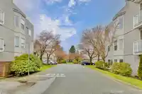 308 9948 151 STREET - thumbnail 4