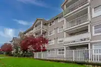 208 13550 HILTON ROAD - thumbnail 24