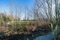 406 18505 LAURENSEN PLACE - thumbnail 31