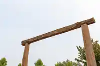 16966 JERSEY DRIVE - thumbnail 30