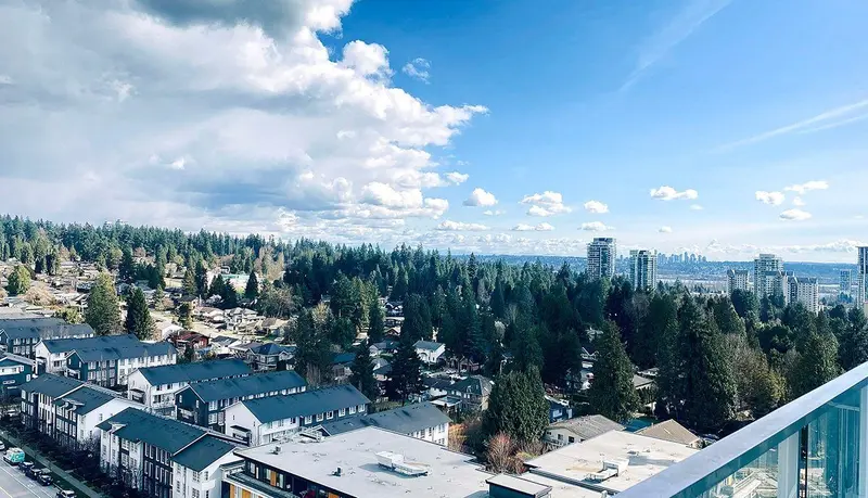 1710 652 WHITING WAY - photo 4 of 25