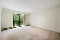 16163 SPRINGSIDE COURT - thumbnail 22