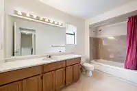 16163 SPRINGSIDE COURT - thumbnail 29