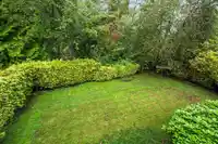 16163 SPRINGSIDE COURT - thumbnail 40