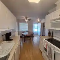 48 15020 66A AVENUE - thumbnail 9