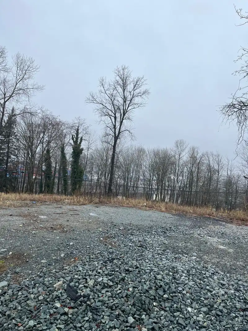 11433 MILLAR ROAD - photo 3 of 7
