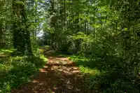 12482 53 AVENUE - thumbnail 7