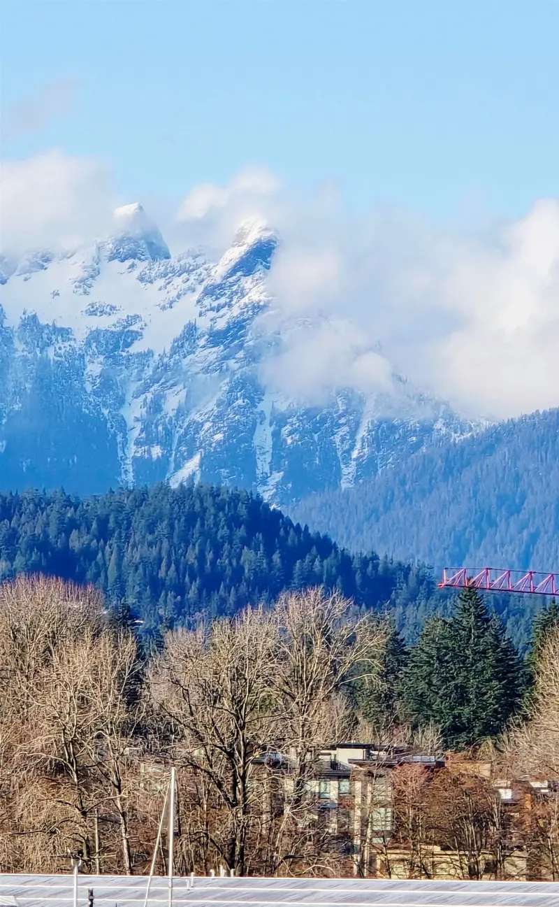 JNW33 415 W ESPLANADE - photo 2 of 24