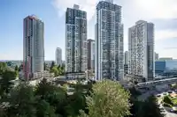 1508 9830 WHALLEY BOULEVARD - thumbnail 21