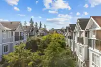 31 13239 OLD YALE ROAD - thumbnail 23