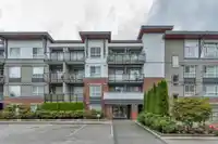 204 19567 64 AVENUE - thumbnail 38